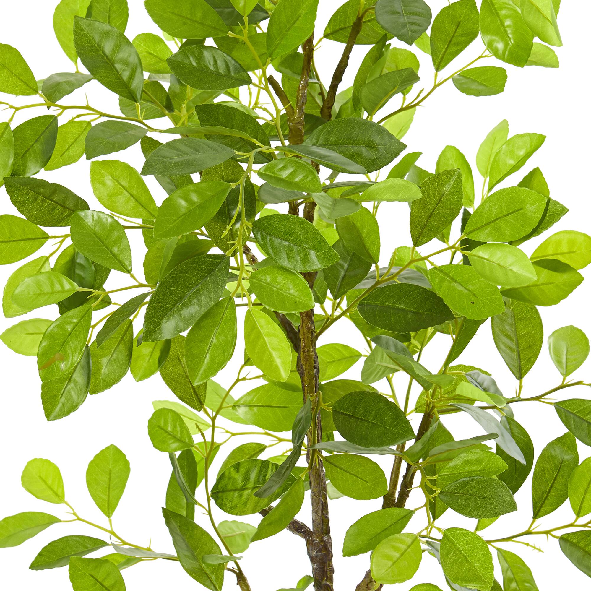 3ft. Ficus Tree in Faux Concrete Planter